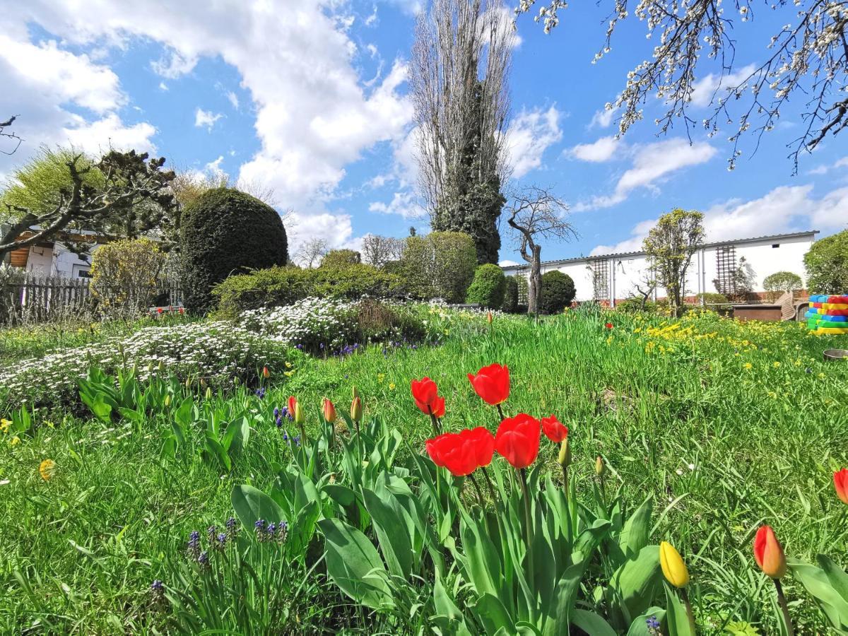 Bohnapartments Ega Stadtblick - Garten - Wlan - Naehe Theater Ega Und Messe Erfurt Ngoại thất bức ảnh